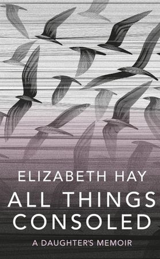 All Things Consoled (ebok) av Elizabeth Hay