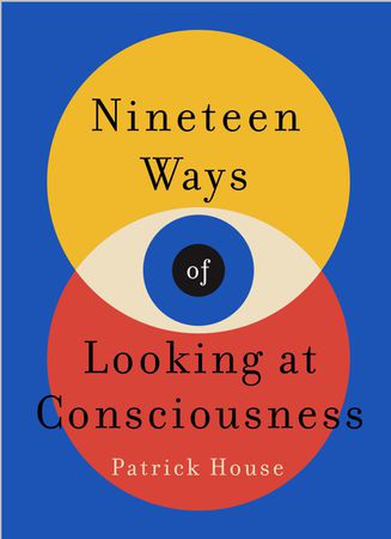 Nineteen Ways of Looking at Consciousness - Our leading theories of how your brain really works (ebok) av Patrick House