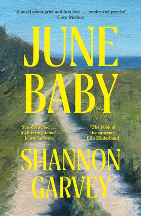 June Baby - moving and heartbreaking, 'the book of the summer' (Elin Hilderbrand) (ebok) av Shannon Garvey