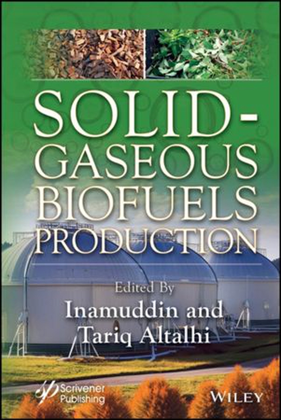 Solid-Gaseous Biofuels Production (ebok) av -