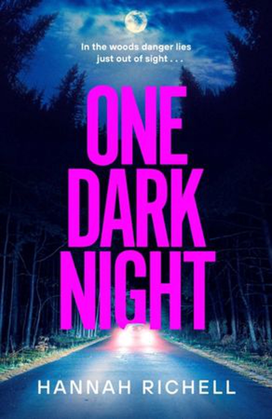 One Dark Night - the BRAND NEW thriller from the Richard and Judy book club author of The Search Party perfect for the holiday season! (ebok) av Hannah Richell