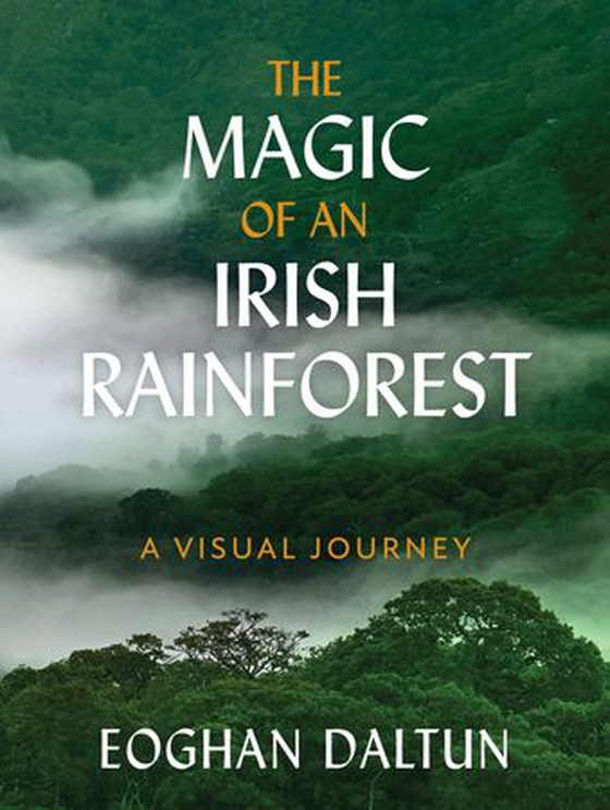 The Magic of an Irish Rainforest - A Visual Journey (ebok) av Eoghan Daltun