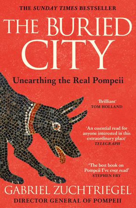 The Buried City - Unearthing the Real Pompeii - the Instant Sunday Times Bestseller (ebok) av Gabriel Zuchtriegel