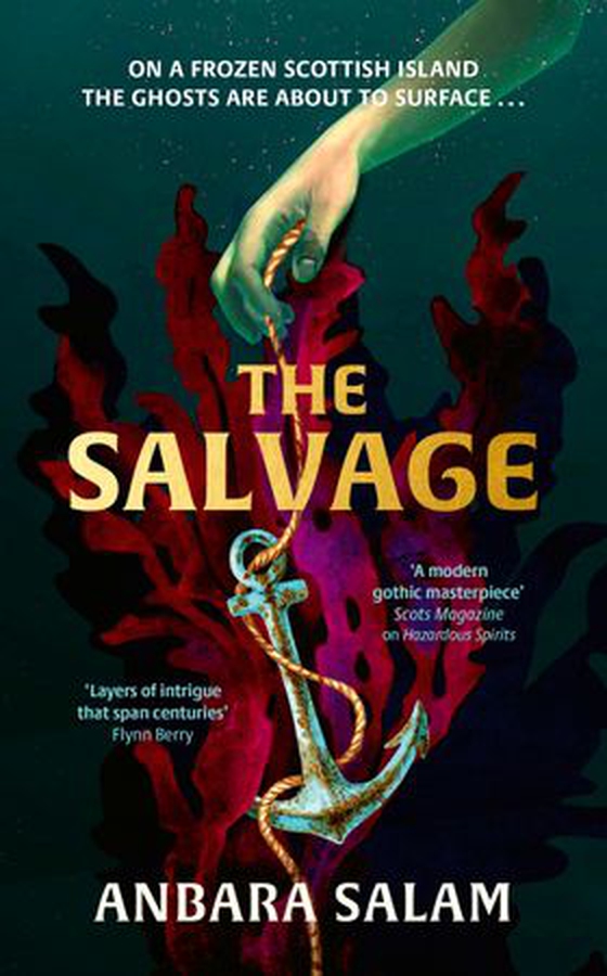 The Salvage - ‘A gothic tale with a powerful sense of place and an eerie atmosphere’ Sunday Times (ebok) av Anbara Salam