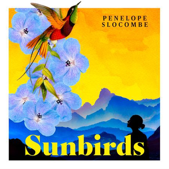 Sunbirds (lydbok) av Penelope Slocombe