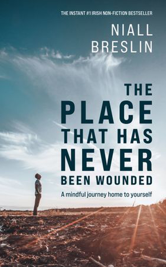 The place that has never been wounded - a mindful journey home to yourself (ebok) av Niall Breslin