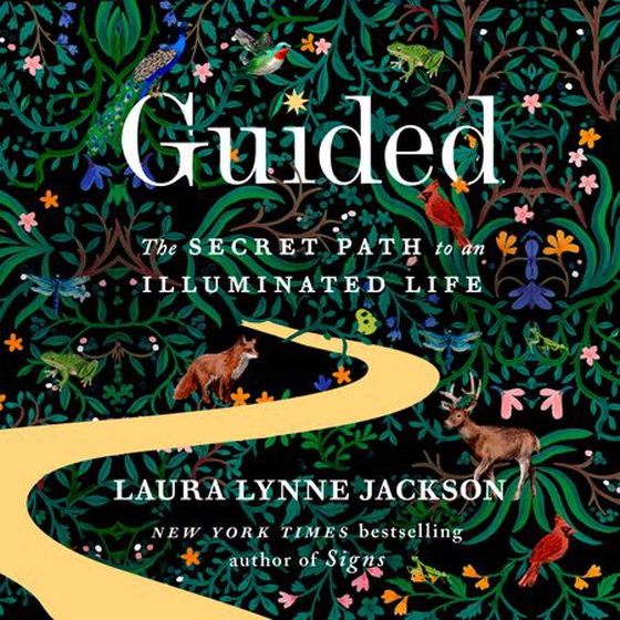 Guided