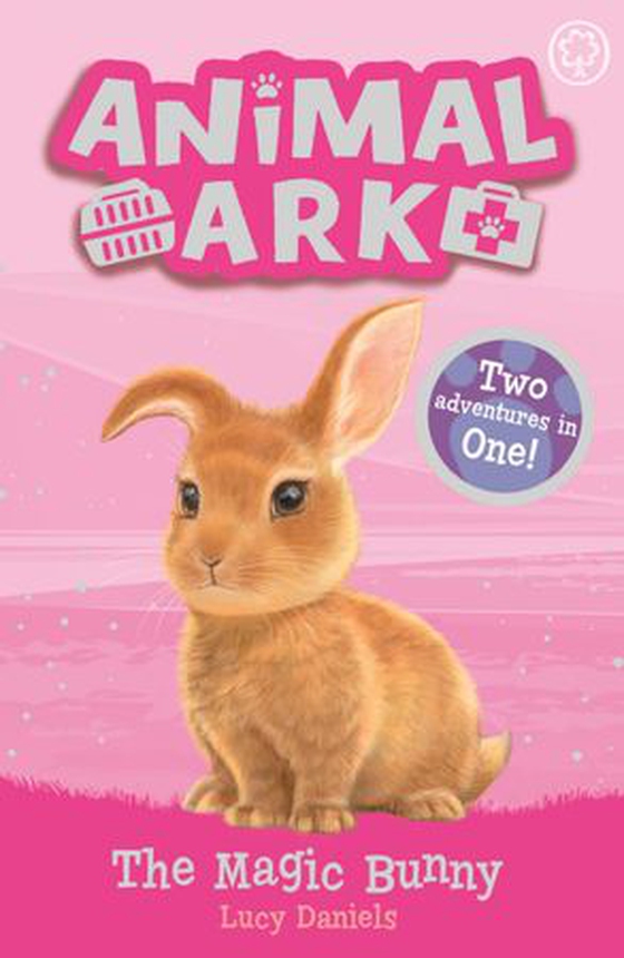 The Magic Bunny - Special 4 (ebok) av Lucy Daniels
