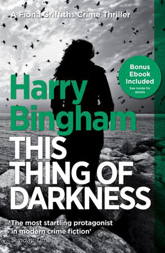 This Thing of Darkness - A chilling British detective crime thriller (ebok) av Harry Bingham