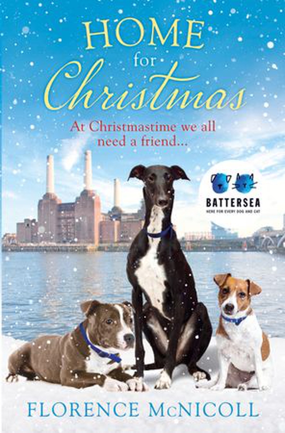Home for Christmas - the perfect festive feel-good read (ebok) av Florence McNicoll