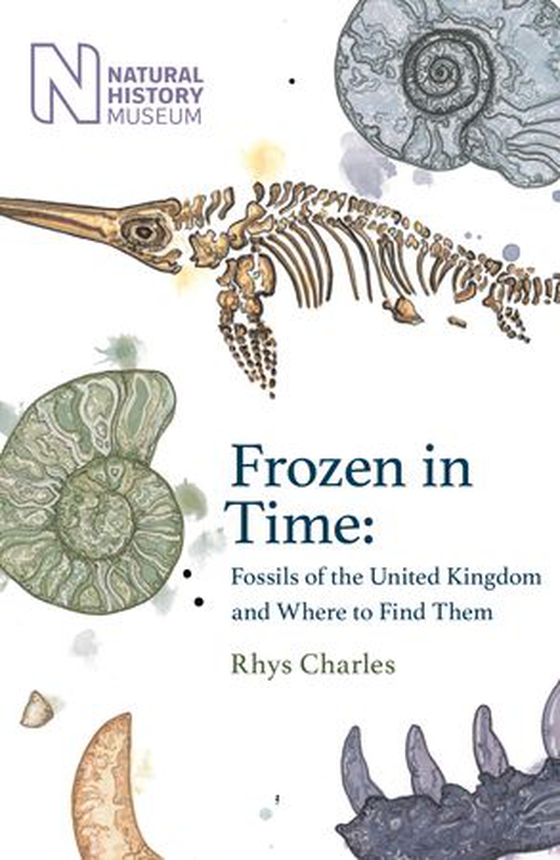 Frozen in Time - Fossils of the United Kingdom and Where to Find Them (ebok) av Rhys Charles