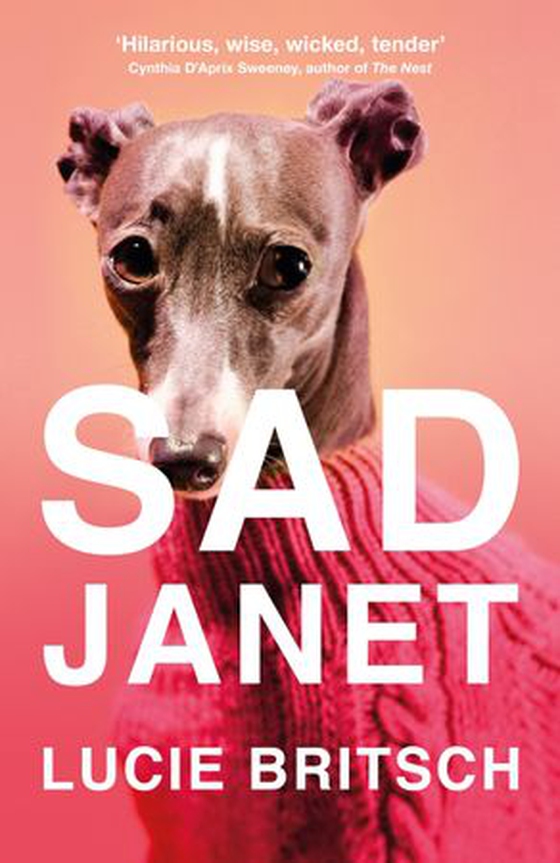 Sad Janet - ‘A whip-smart, biting tragicomedy’ HuffPost (ebok) av Lucie Britsch