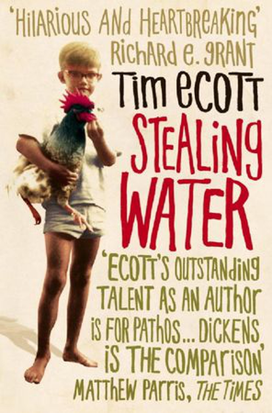 Stealing Water (ebok) av Tim Ecott