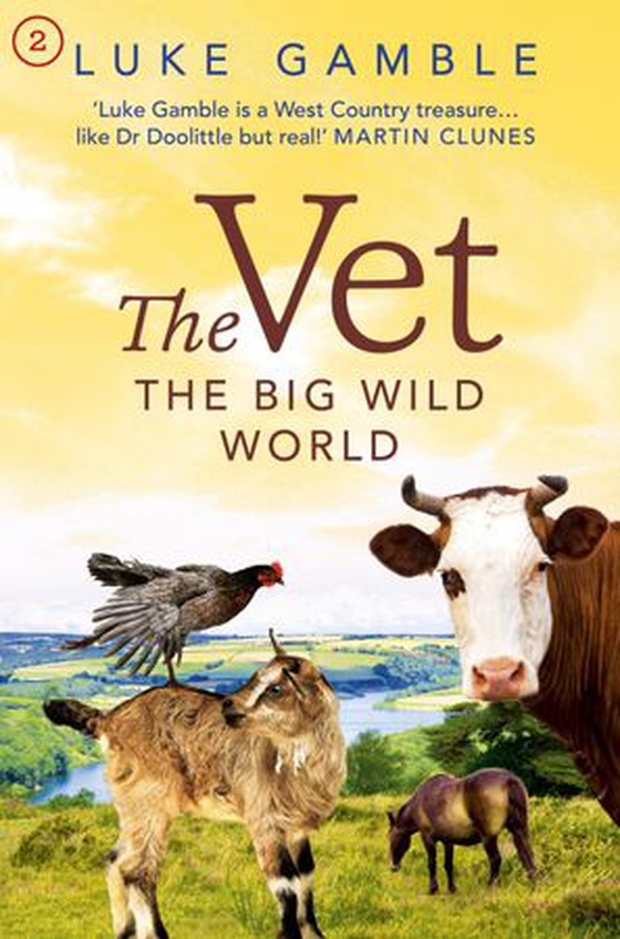 The Vet 2: the big wild world (ebok) av Luke Gamble