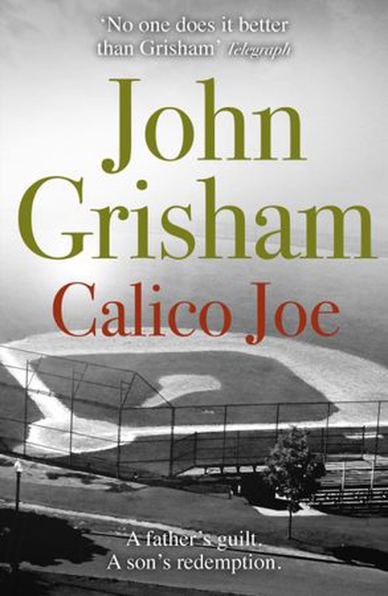 Calico Joe - The unforgettable family drama from the number 1 Sunday Times bestselling author (ebok) av John Grisham