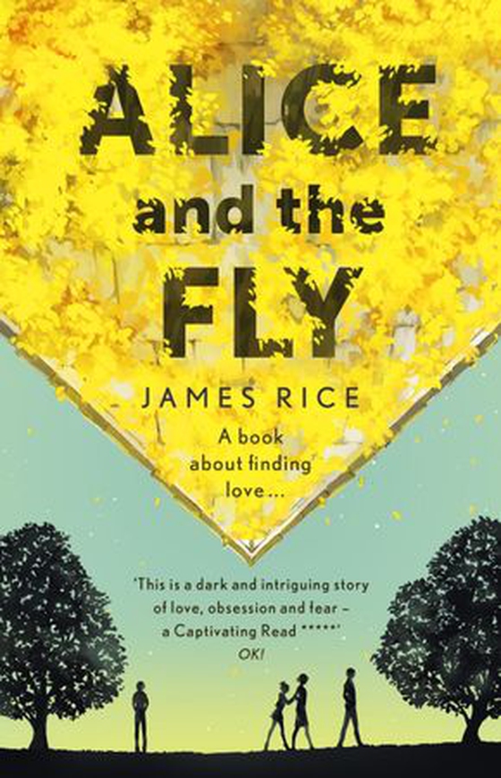 Alice and the Fly