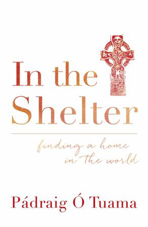 In the Shelter - Finding a Home in the World (ebok) av Padraig O Tuama