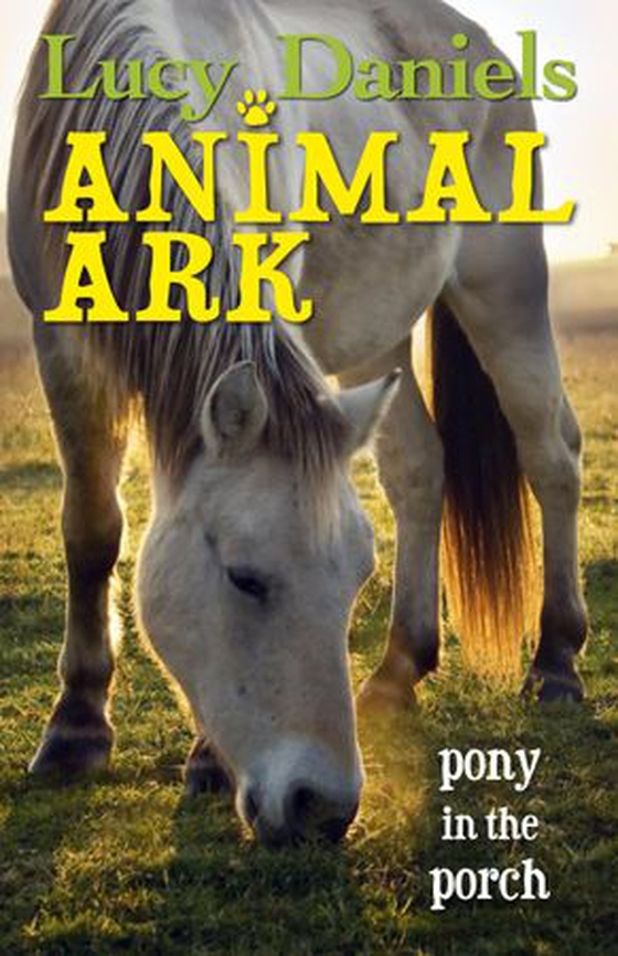 Pony in the Porch