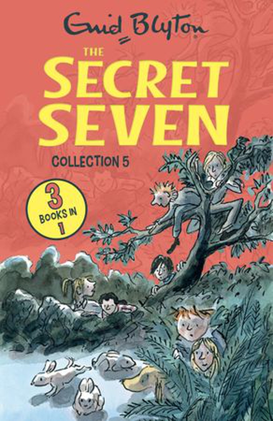 The Secret Seven collection 5