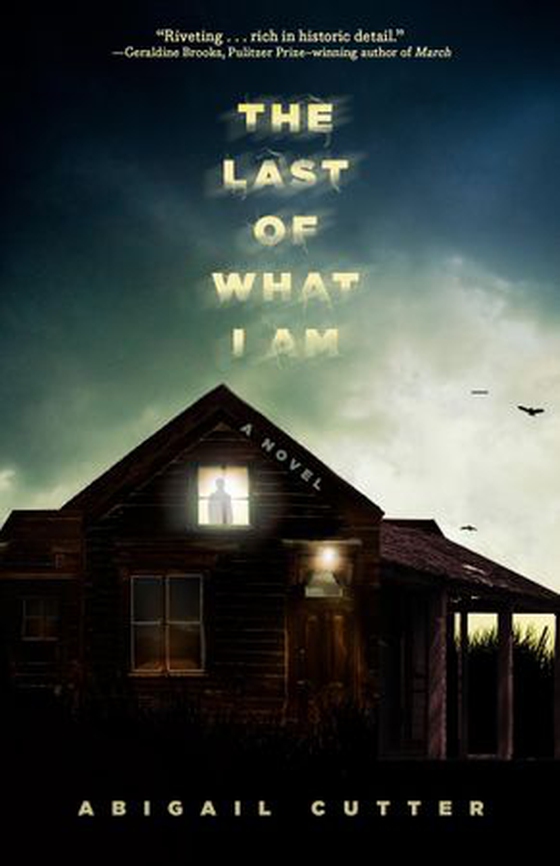 The Last of What I Am - A Novel (ebok) av Abigail Cutter