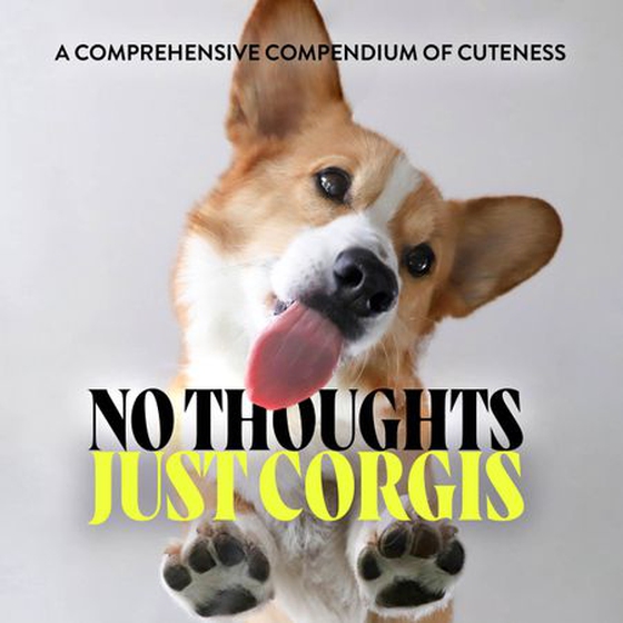 No Thoughts Just Corgis - A Comprehensive Compendium of Cuteness (ebok) av Union Square & Co.