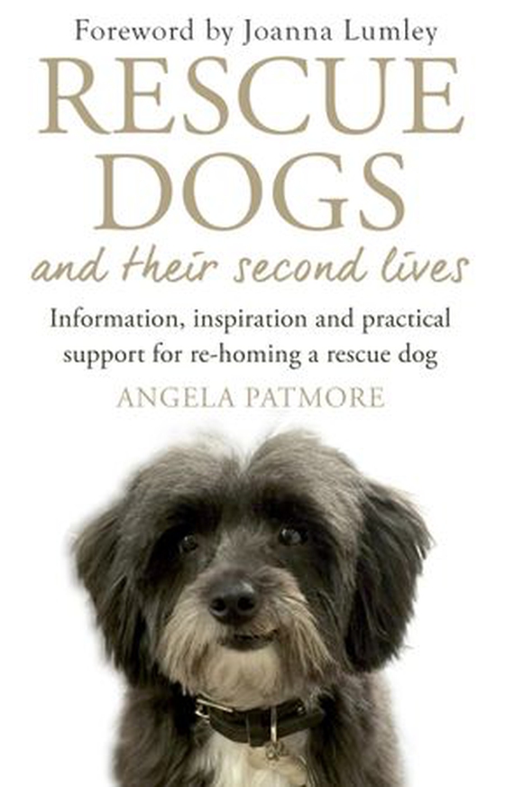 Rescue Dogs and Their Second Lives