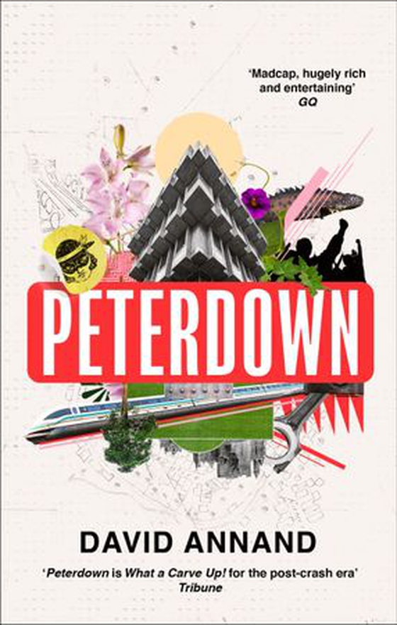 Peterdown - An epic social satire, full of comedy, character and anarchic radicalism (ebok) av David Annand
