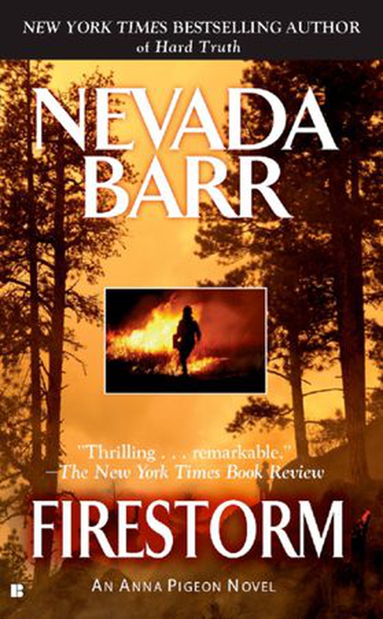 Firestorm (Anna Pigeon Mysteries, Book 4)