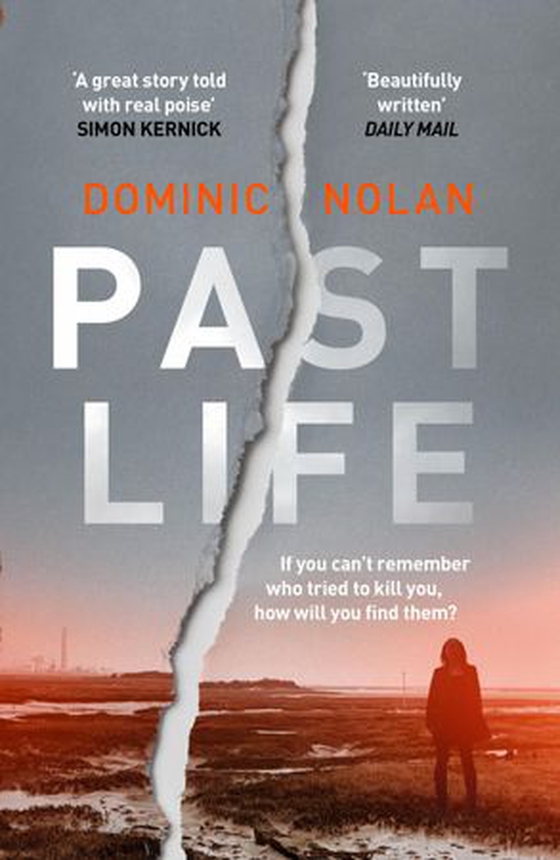Past Life - an 'astonishing' and 'gripping' crime thriller (ebok) av Dominic Nolan