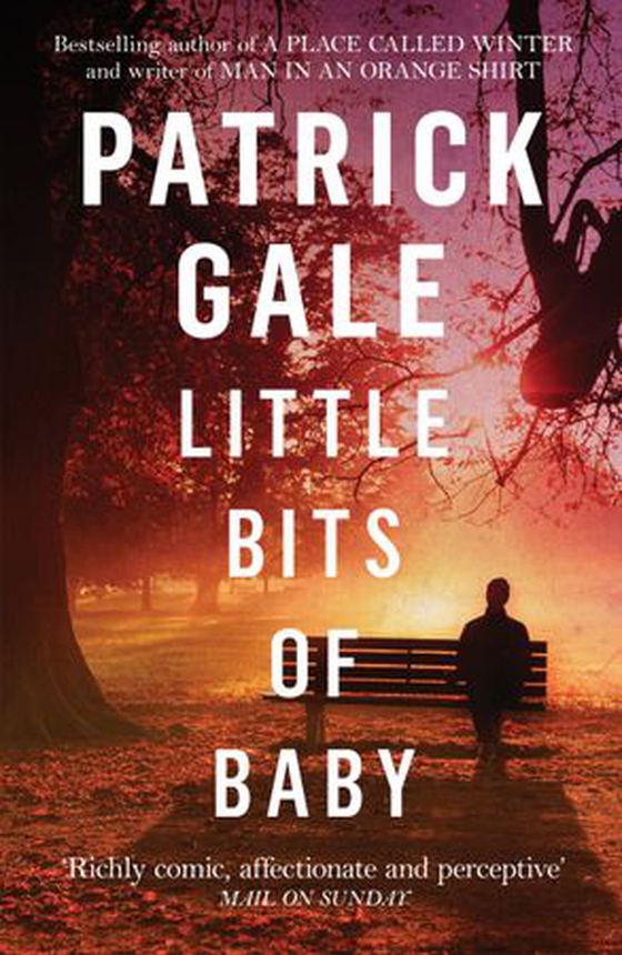 Little Bits of Baby - A quirky, comedic novel of breakdown, escape and the possibilities of finding love (ebok) av Patrick Gale