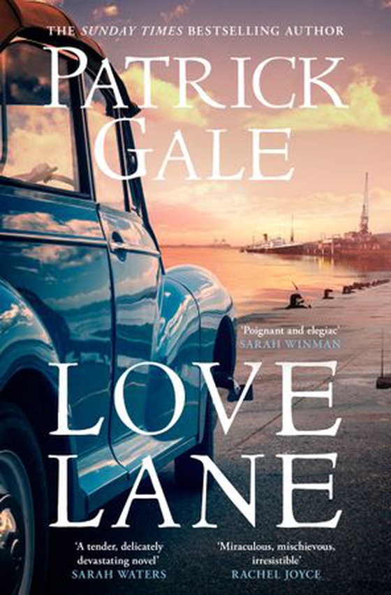 Love Lane - A searing portrayal of escape and the power of love, home and a family (ebok) av Patrick Gale