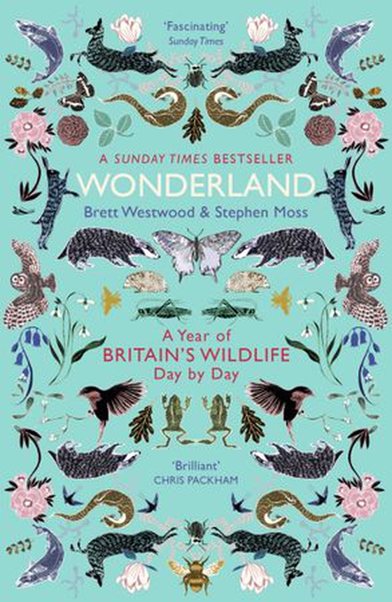 Wonderland