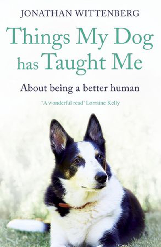 Things my dog has taught me