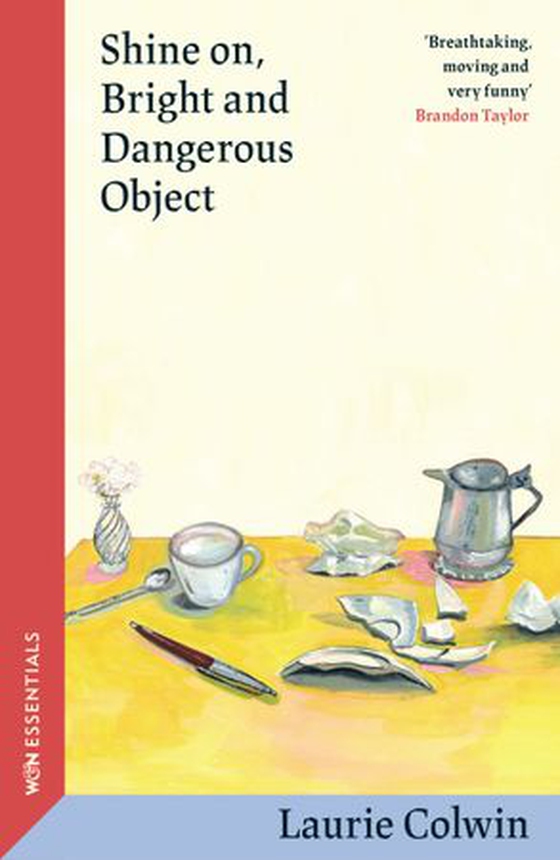 Shine on, Bright and Dangerous Object (ebok) av Laurie Colwin