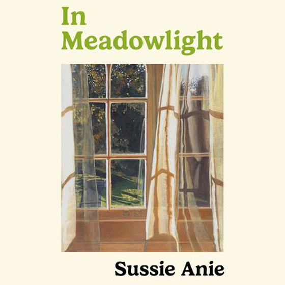 In Meadowlight - The beautiful new novel from the award-winning author of To Fill a Yellow House (lydbok) av Sussie Anie