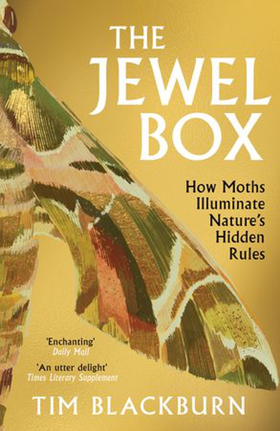The Jewel Box - How Moths Illuminate Nature’s Hidden Rules (ebok) av Tim Blackburn