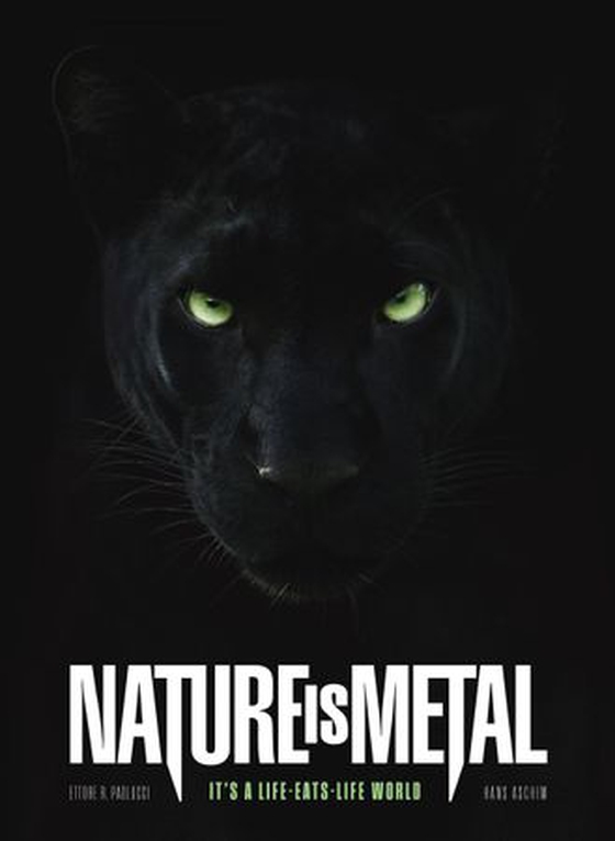 Nature Is Metal
