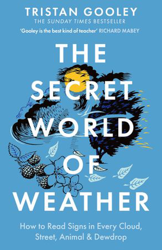 The Secret World of Weather - A must-have for all nature lovers - perfect reading for your autumn walks (ebok) av Tristan Gooley