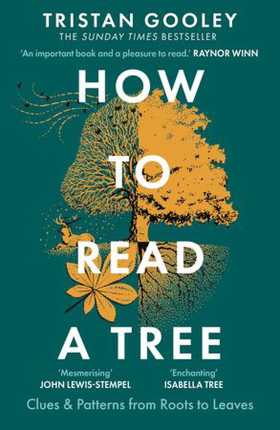 How to Read a Tree - A must-have for all nature lovers - perfect reading for your winter adventures (ebok) av Tristan Gooley