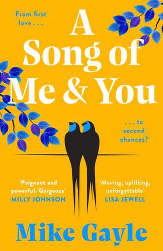 A Song of Me and You
