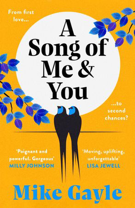 A Song of Me and You