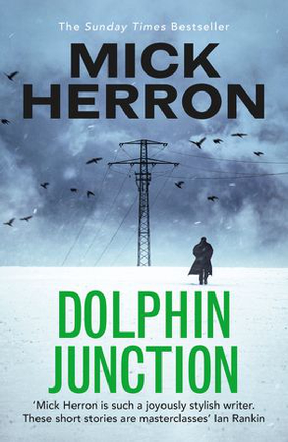 Dolphin junction