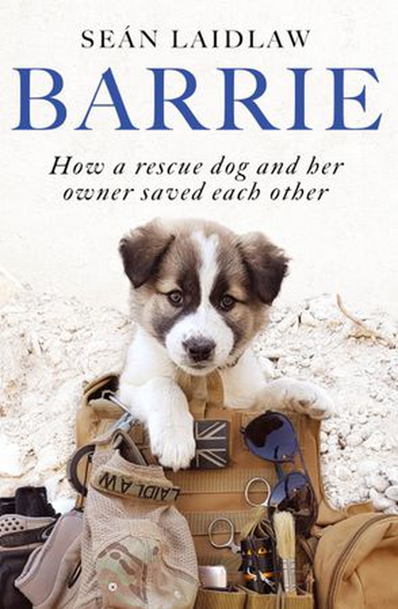Barrie - How a rescue dog and her owner saved each other (ebok) av Sean Laidlaw
