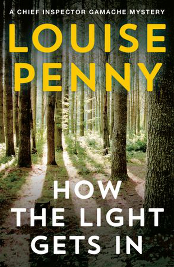 How The Light Gets In