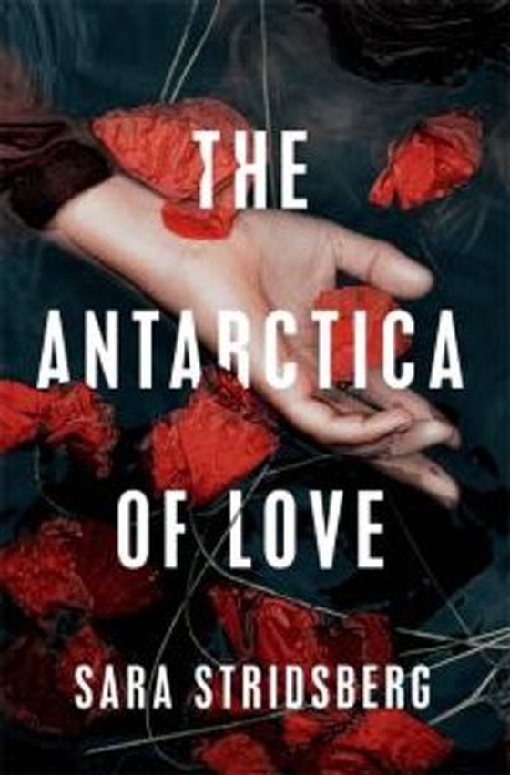The Antarctica of Love (ebok) av Sara Stridsberg
