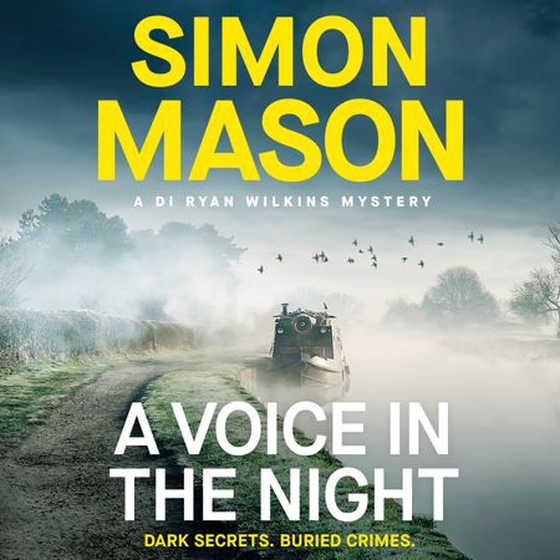 A voice in the night