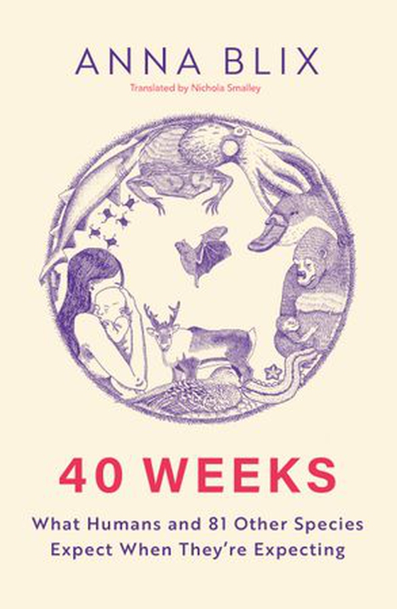 40 weeks