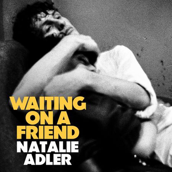 Waiting on a Friend (lydbok) av Natalie Adler