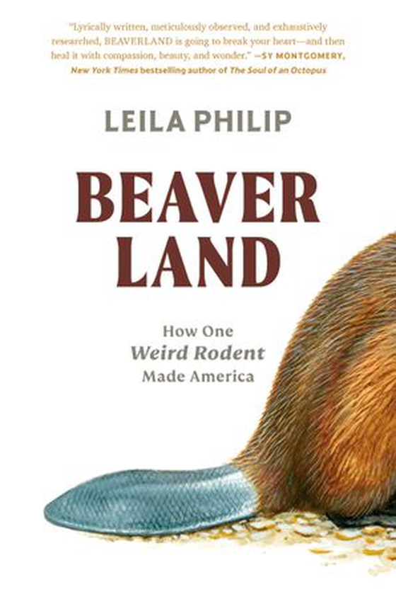 Beaverland - How One Weird Rodent Made America (ebok) av Leila Philip