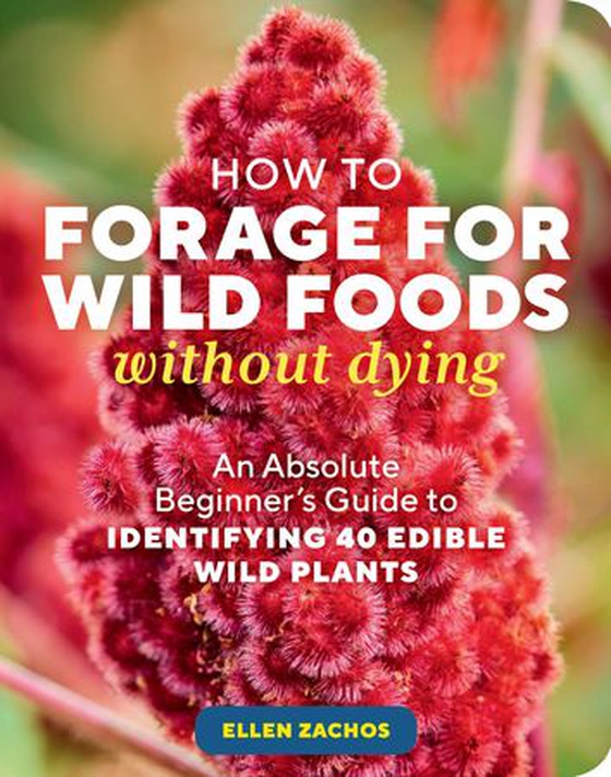 How to Forage for Wild Foods without Dying - An Absolute Beginner's Guide to Identifying 40 Edible Wild Plants (ebok) av Ellen Zachos